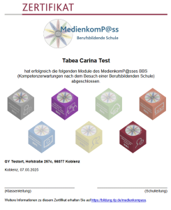 Medienkompass-Zertifikat für eine einzelne Schülerin